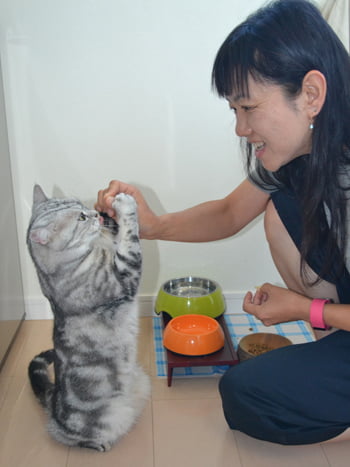 角田光代と愛猫「トト」