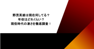 野茂英雄は現在何してる？年収はどれくらい？現役時代の凄さを徹底調査！