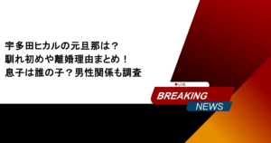宇多田ヒカルの元旦那は？馴れ初めや離婚理由まとめ！息子は誰の子？男性関係も調査