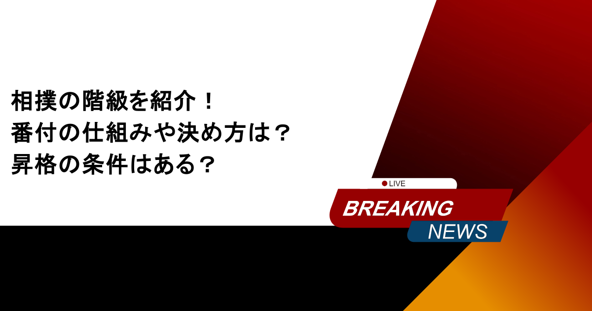 相撲の階級を紹介！番付の仕組みや決め方は？昇格の条件はある？