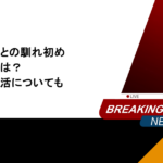 内田篤人の嫁との馴れ初めや結婚の決め手は？子供や家庭生活についても